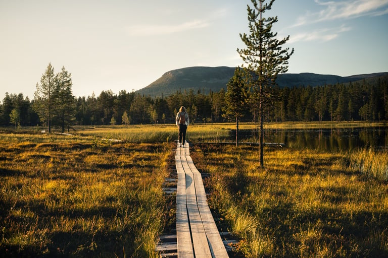 Rear view of a female hiker walking along a wooden path through Nordic nature by a lake