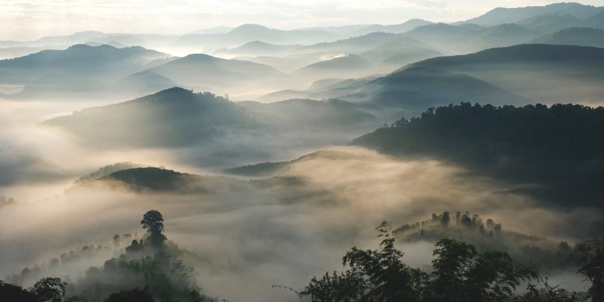 Aerial view of mountains and forest with the sea of fog before sunrise — a vast, still landscape that evokes perspective and quiet reflection.